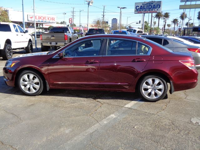 2010 Honda Accord EX-L